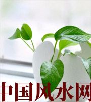凉山家中摆放六种吉祥物，会打开您的财运大门！