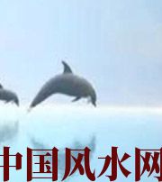 凉山做梦梦到这些，是要富裕的征兆！
